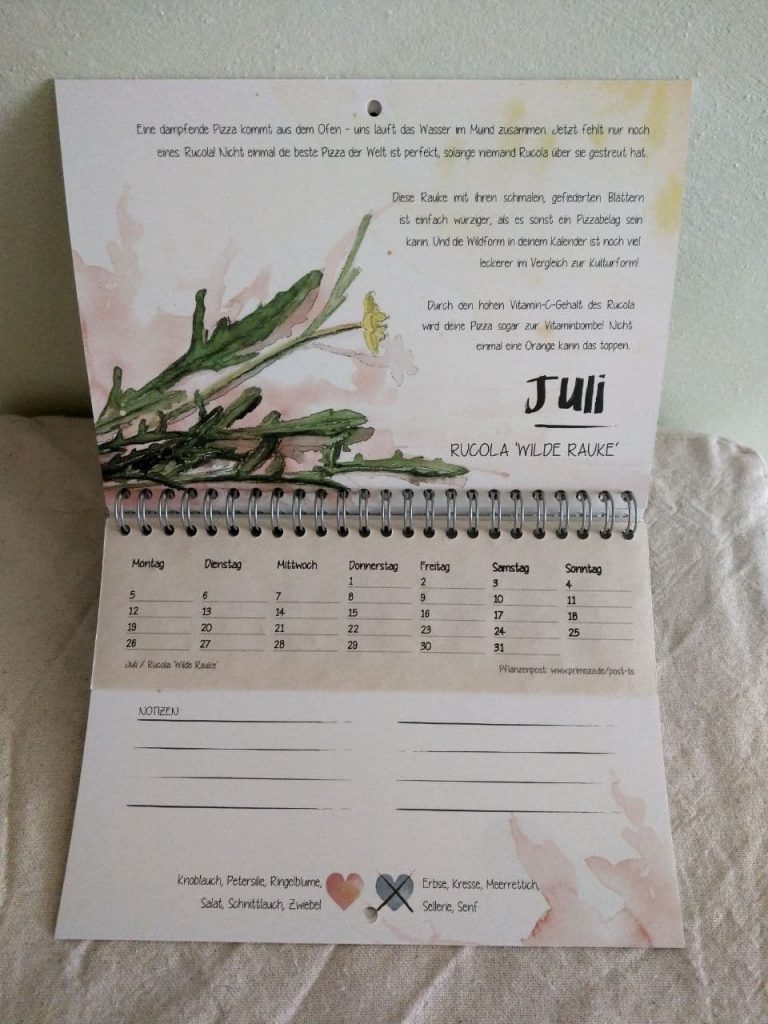 Man sieht das Kalenderblatt Juli mit dem Samenpapier "Rucola 'Wilde Rauke'".