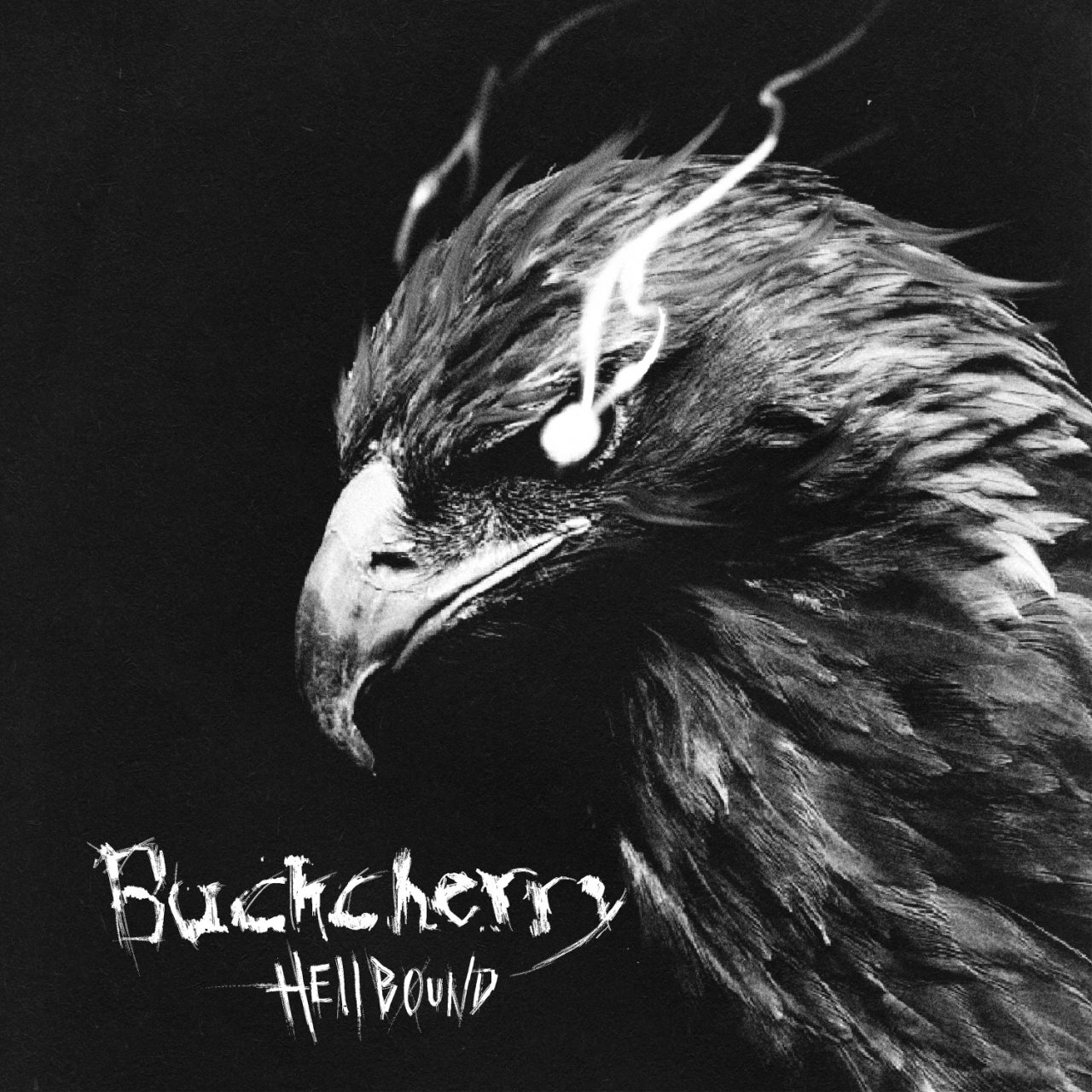 Das Albumcover "Hellbound" von Buckcherry ist schwarz-weiß und zeigt einen Adler, aus dessen Augen Rauch kommt.