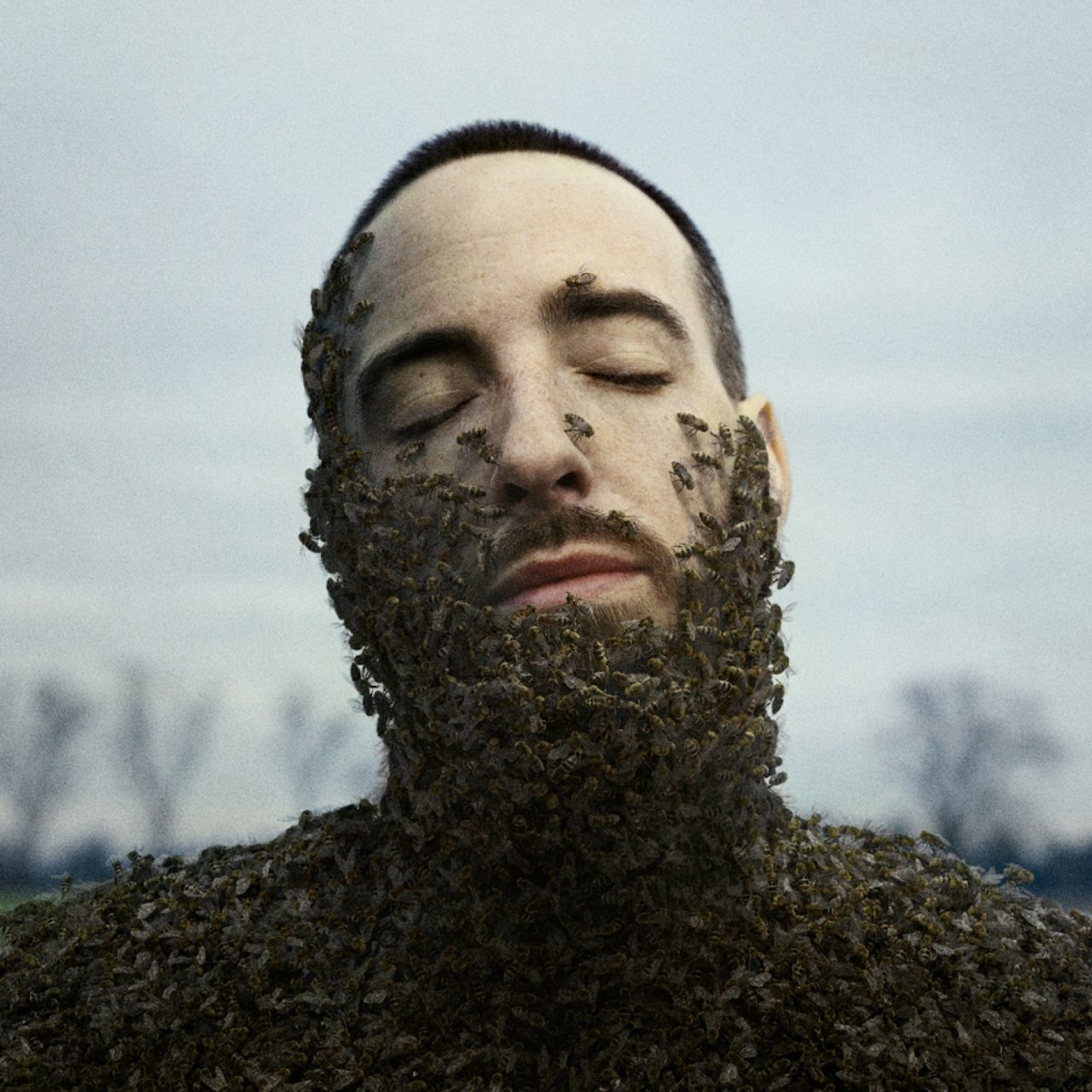 Das Albumcover "Alles war schön und nichts tat weh" von Casper zeigt den Musiker im Porträt. Er hat die Augen geschlossen und auf seinem Körper befinden sich Tausende Bienen.