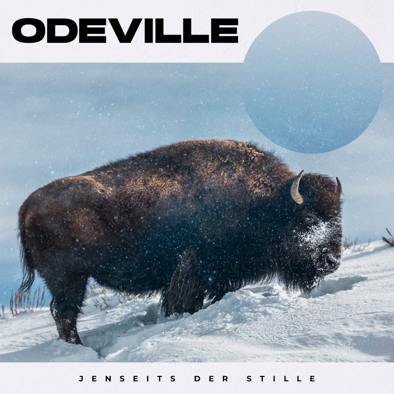 Das Albumcover "Jenseits von Stille" von Odeville zeigt einen Büffel, der im Schnee steht.