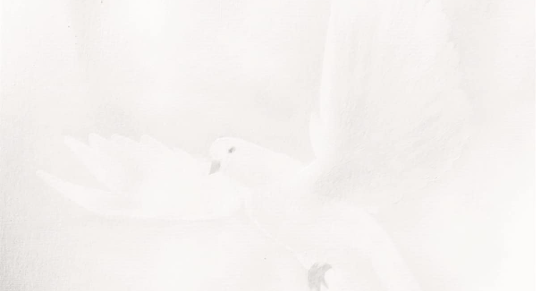Das "White Album" von The Stokes ist weiß. Es zeigt außerdem eine weiße Taube, die man nur durch genaueres Hinsehen erkennen kann.