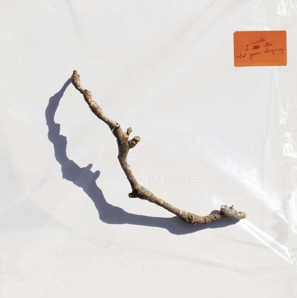 Das Albumcover "I Inside The Old Year Dying" von PJ Harvey ist weiß. In der Mitte liegt ein Ast.